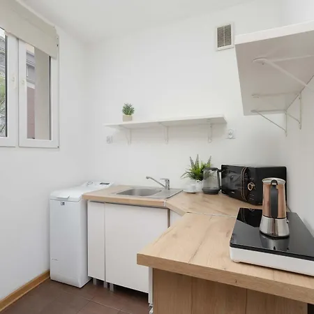 アパート Stylish With A Balcony In The Centre By Renters *